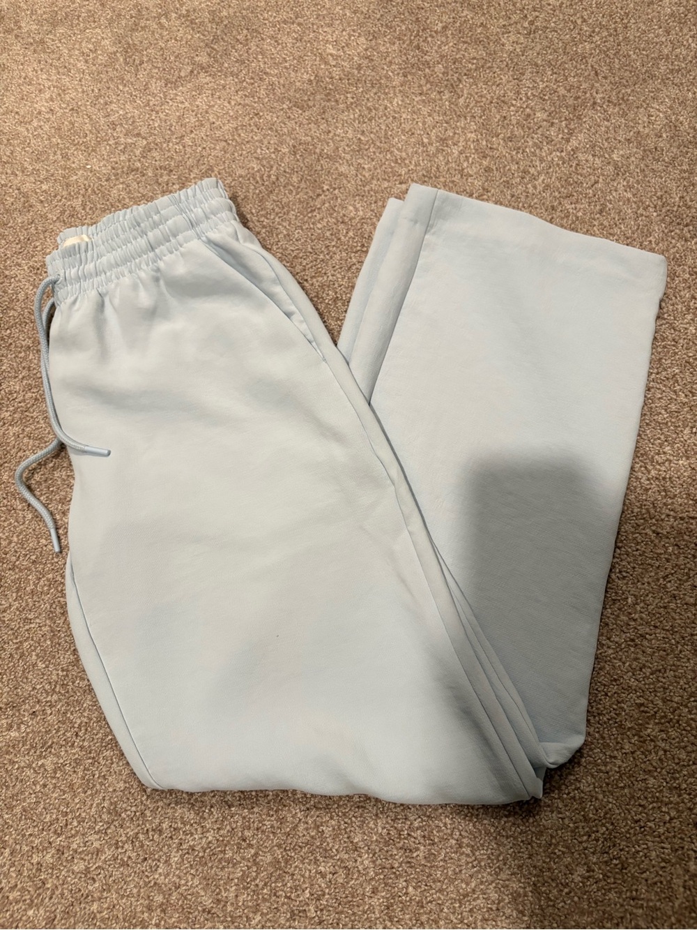 Aritzia Crepette Thesis Pant Light Blue